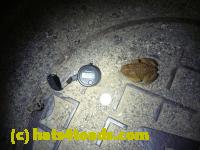 /home//u458753944/public_html/sourcegallery//Roxborough Toad Detour/2013-2019/2013/2013-04-09/P1120063.JPG